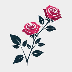 pink rose on a white background

