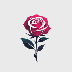 pink rose on a white background
