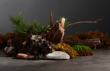 Northern natural composition with lichen, moss, pine branches and driftwood.