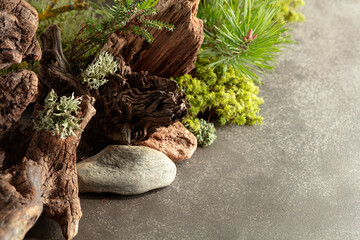 Northern natural composition with lichen, moss, branches and driftwood.