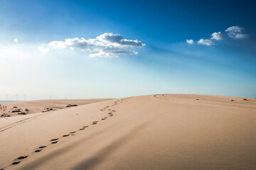 Fototapeta na wymiar Trails running through sand dunes on a sunny day
