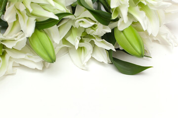 A closeup of blooming lilies, flowers for the holiday
