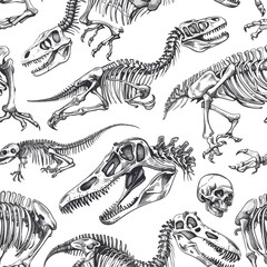 Dinosaur skeletons.arious bones of prehistoric cre