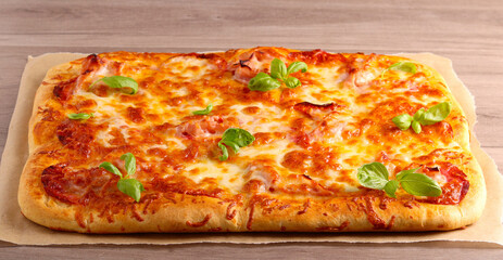 Fresh homemade rectangle pizza