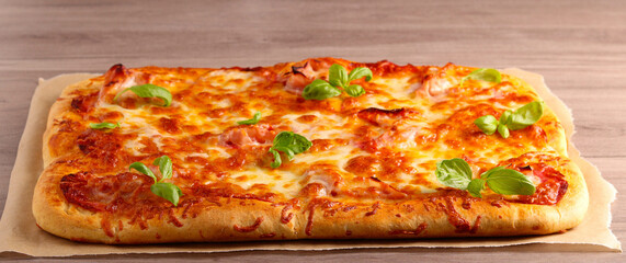 Fresh homemade rectangle pizza