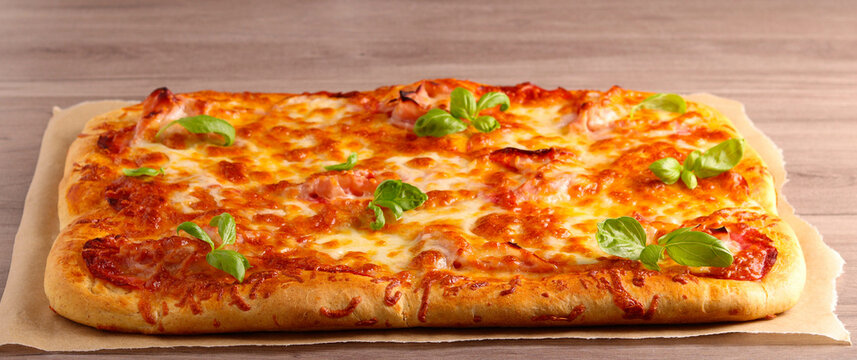Fresh homemade rectangle pizza