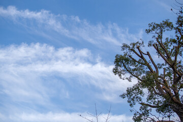 東京港区南青山2丁目の美しい雲
