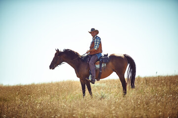 Man, horse and countryside field as cowboy for adventure riding in Texas meadow for explore farm, exercise or training. Male person, animal and stallion in rural environment on saddle, ranch or hobby - obrazy, fototapety, plakaty