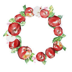 round frame is wreath of juicy red apples with leaves and flowers. handmade watercolor illustration. isolated on a white background. for menu design, postcards, products.
