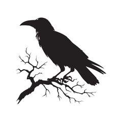 Fototapeta premium Mesmerizing Halloween Crow Silhouette Set - Conjuring the Ominous Beauty of Halloween Crow Vector - Halloween Silhouette 