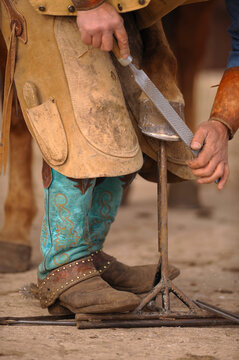 close up of horse farrier or equine blacksmith rasping a horse foot using rasp during hoof maintenance  trim blacksmith wearing turquoise cowboy boots and leather chinks vertical image room for type 