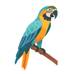 Flat design parrot drawing iconector illustration