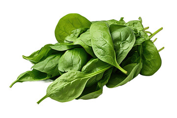Fototapeta premium spinach leaves isolated on PNG Background. Generative Ai.