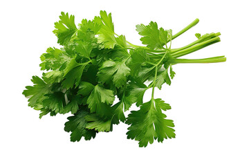 Parsley cilantro herb illustration isolated on PNG Background. Generative Ai.