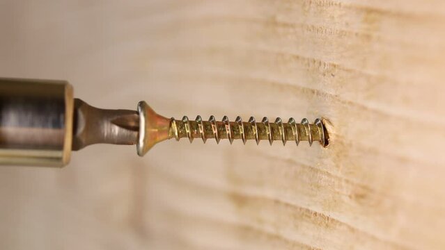 A brass self-tapping screw is screwed into a wooden board using an electric screwdriver, close up.