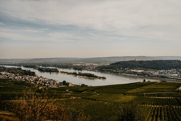 Blick über die Weinberge auf die Mosel