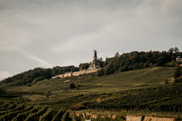 Blick über die Weinberge auf eine Statue