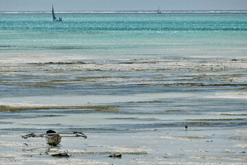 Scenic view of moored boat at Jambiani beach, Zanzibar