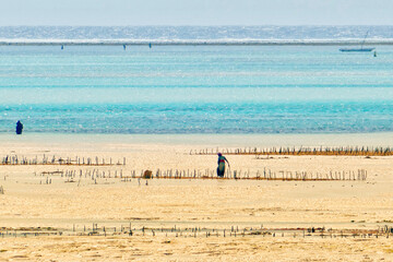 Fototapeta na wymiar Fishermen on mudflat in Zanzibar