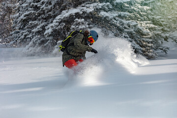 Powder snowboarding. Freeride snowboarder girl riding off-trail fresh powder snow high in the mountains.
