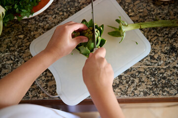 Top view woman cutting and cooking fresh organic artichoke, standing by marble kitchen counter