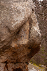 Fototapeta premium old Tustan rocks with moss in Ukraine