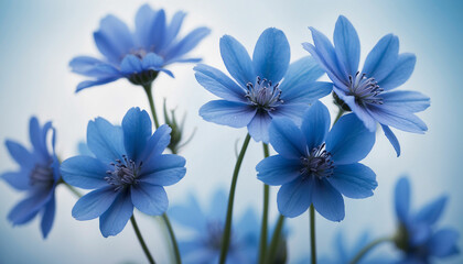 A bunch of blue flowers set against a soft textured background in varying shades of blue and the play of light and shadow creates an abstract design imbuing the image with a sense of mystery and calmn