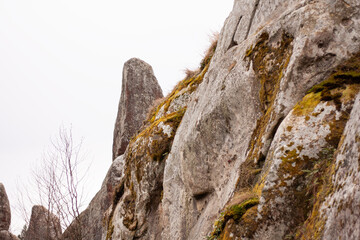 old Tustan rocks with moss in Ukraine