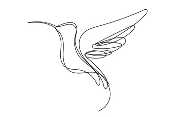Line Art Hummingbird Bird Illustration. One Continuous Editable Outline Drawn. Abstract Doodle Vector Bird Isolated On White Background