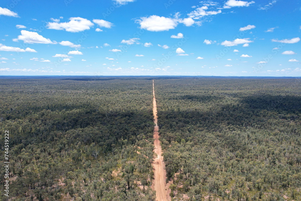 Sticker Pilliga forest in Australia