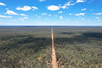Pilliga forest in Australia