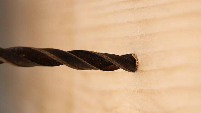 Drilling a hole in a wooden board using an electric drill, close-up.