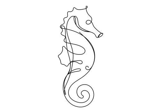 One Continuous Line Art Seahorse Animal Sketch. Doodle Outline Editable Vector Illustration. Wild Sea Marine Animal Mascot Symbol Contour Logo Design