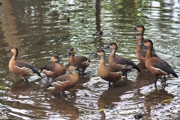 Port Douglas, Queensland, Australia