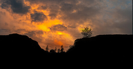 Obraz premium Zion National Park