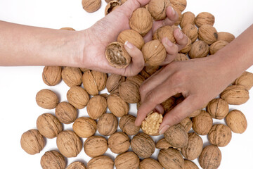 Offering Nature's Bounty: Hand Presenting Fresh, Organic Walnuts, An engaging image capturing a hand presenting a number of fresh, organic walnuts. The brown, textured shells of the walnuts contrast