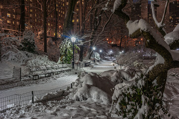 Central Park in winter , after snow storm