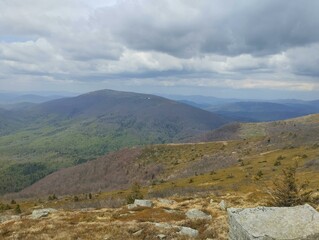 landscape in the mountains