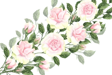 Rolgordijnen Watercolor pink and white roses diagonal illustration for cards. Hand drawn isolated on white background. Retro vintage design © Elena