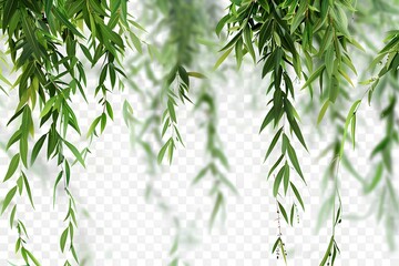 Isolated green leaves surrounded by white background with a touch of freshness, representing nature's vibrant foliage in spring