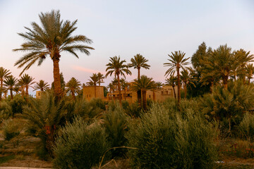 Fototapeta na wymiar sunrise from the terrace of the rihab in the sahara desert, merzouga