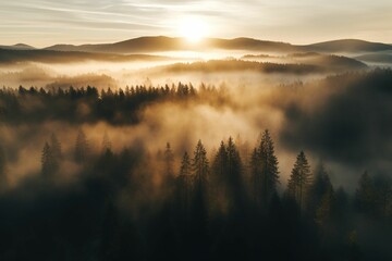 Fototapeta na wymiar A drone shot of a misty forest with rays of the setting sun breaking through fog