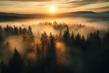 Obraz premium A drone shot of a misty forest with rays of the setting sun breaking through fog