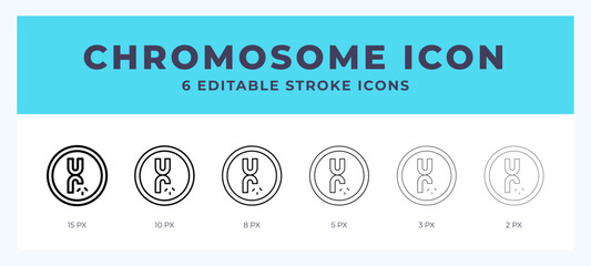 Chromosome icon in thin line. Bold line. Regular line. Editable stroke.