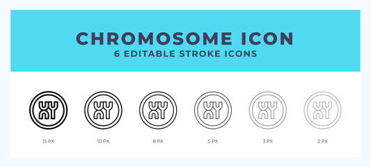 Chromosome vector icon. With different stroke vector illustration.