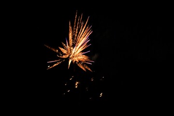 Exploding firework