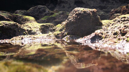 Little pond filled with water