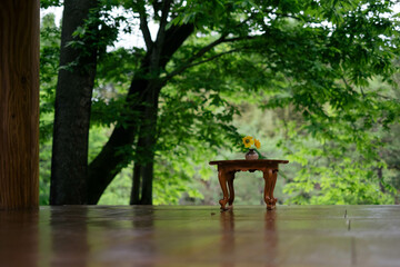 table in the garden