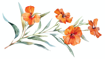 Watercolor hand painted botanical illustration