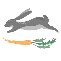 Jumping grey hare, rabbit and carrot